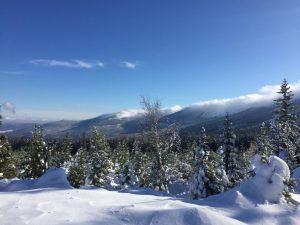 Winter 2021 in the Karkonosze Mountains