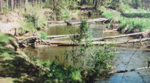Przeszkody na rzece Rawka w Bolimowskim Parku Krajobrazowym 